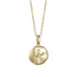 The picture shows a small 14K yellow gold sand dollar pendant with diamonds.
