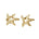The picture shows a pair of 14K yellow gold starfish stud earrings.