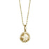 The picture shows a small size 14K yellow gold sand dollar pendant with diamonds.