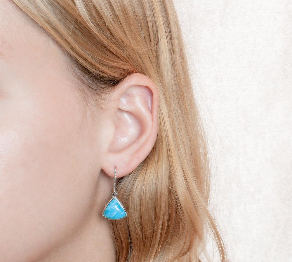 Larimar Reuleaux Hook Earrings Earrings Island by Koa Nani 