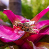 Plumeria Engraved Bangle Bangle Island by Koa Nani Large (10mm) Rose Gold 